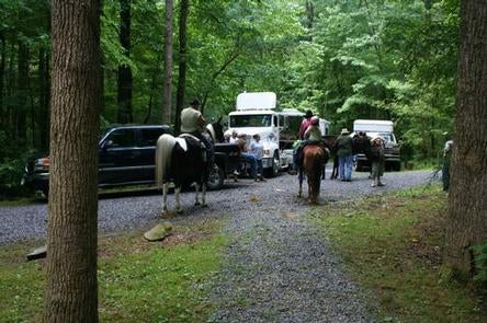 Camper submitted image from Big Creek Horse Camp — Great Smoky Mountains National Park - 4