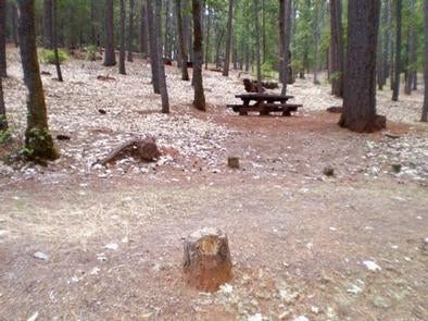 Camper submitted image from Trinity National Forest Fawn Group Campground - 2