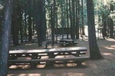 Camper submitted image from Trinity National Forest Fawn Group Campground - 1