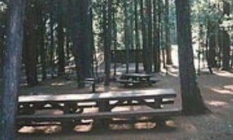 Camping near Preacher Meadow Campground: Trinity National Forest Fawn Group Campground, Weaverville, California