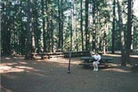 Camper submitted image from Trinity National Forest Fawn Group Campground - 4