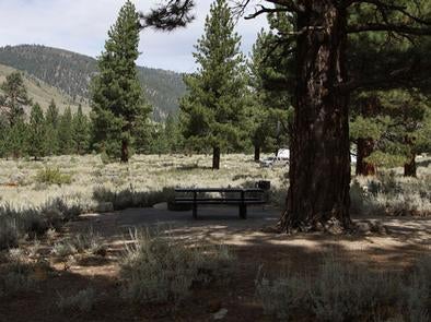 Camper submitted image from Crags Campground - 1
