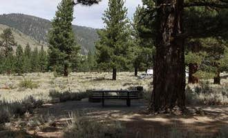 Camping near Toiyabe National Forest Crags Campground: Crags Campground, Bridgeport, California