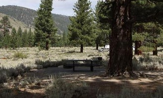 Camping near Toiyabe National Forest Paha Campground: Crags Campground, Bridgeport, California