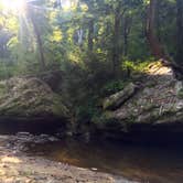 Review photo of Houston Recreation Area by Morgan Z., September 7, 2016