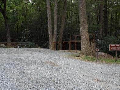 Camper submitted image from Anthony Creek Horse Camp — Great Smoky Mountains National Park - 5