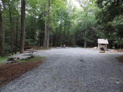 Camper submitted image from Anthony Creek Horse Camp — Great Smoky Mountains National Park - 2