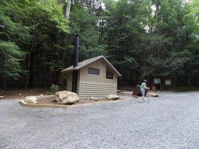 Camper submitted image from Anthony Creek Horse Camp — Great Smoky Mountains National Park - 4