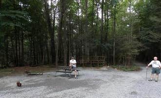 Camping near Cades Cove Campground: Anthony Creek Horse Camp — Great Smoky Mountains National Park, Townsend, Tennessee