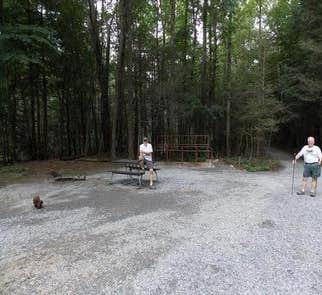 Camper-submitted photo from Anthony Creek Horse Camp — Great Smoky Mountains National Park
