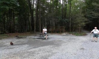 Camping near Top of the World : Anthony Creek Horse Camp — Great Smoky Mountains National Park, Townsend, Tennessee