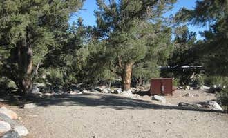 Camping near Tuff Campground: French Camp Campground, Toms Place, California