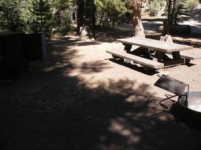 Camper submitted image from Agnew Meadows Horse Campground - 3