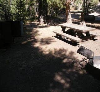 Camper-submitted photo from Agnew Meadows Horse Campground