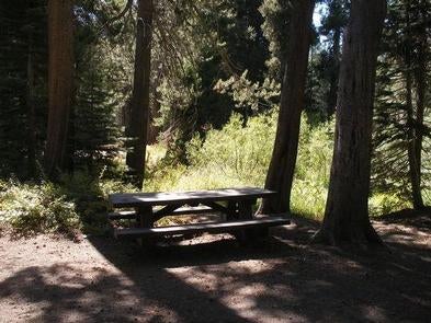 Camper submitted image from Agnew Meadows Horse Campground - 2