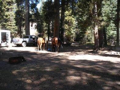 Camper submitted image from Agnew Meadows Horse Campground - 4