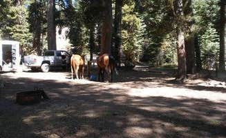 The Dyrt's photo of camping with a horse at Agnew Meadows Horse Campground near El Portal, CA