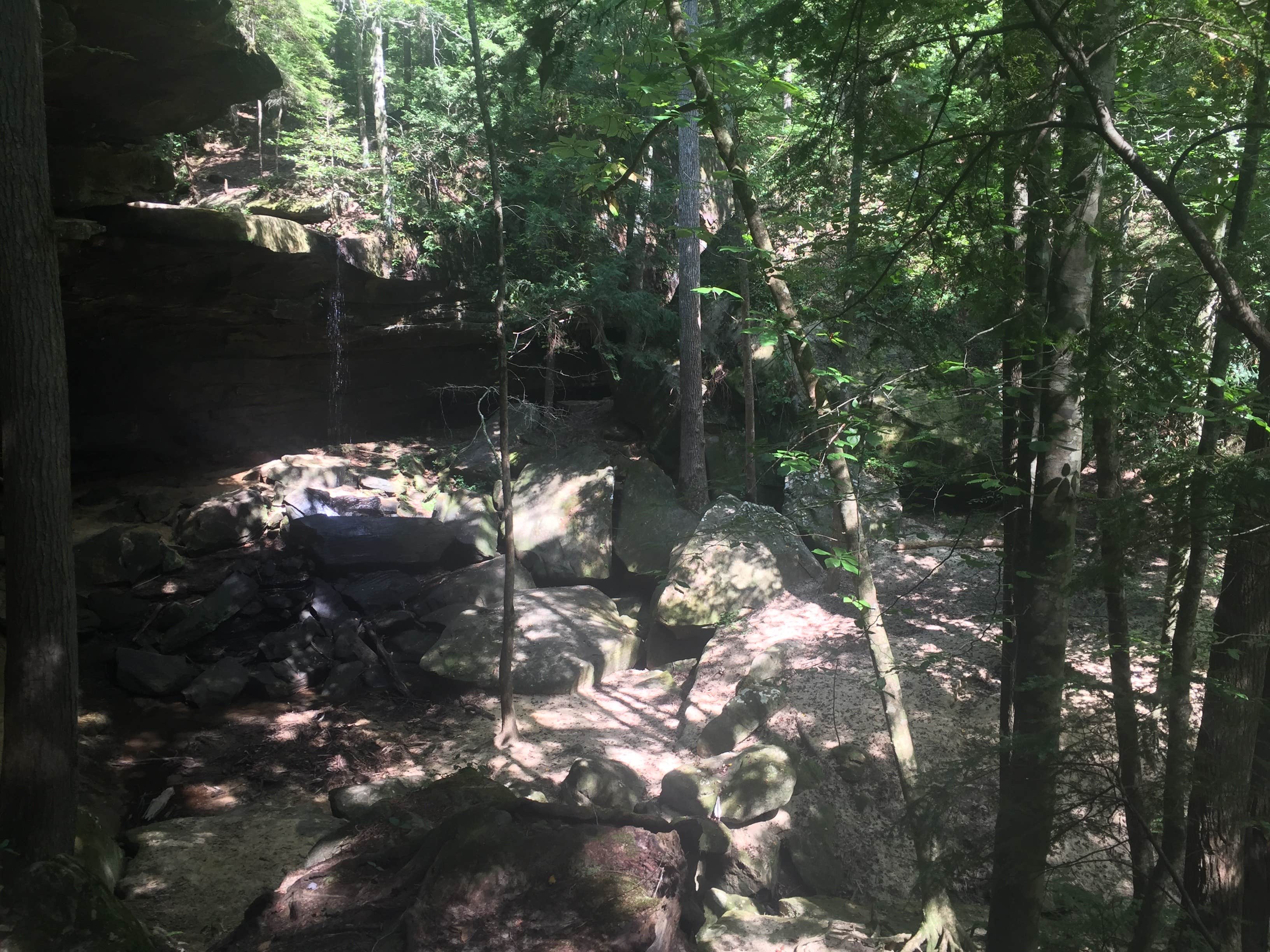 Camper-submitted photo at Houston Recreation Area near Arley, AL