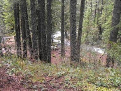 Camper submitted image from Olallie Campground - 3