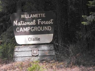 Camper submitted image from Olallie Campground - 4