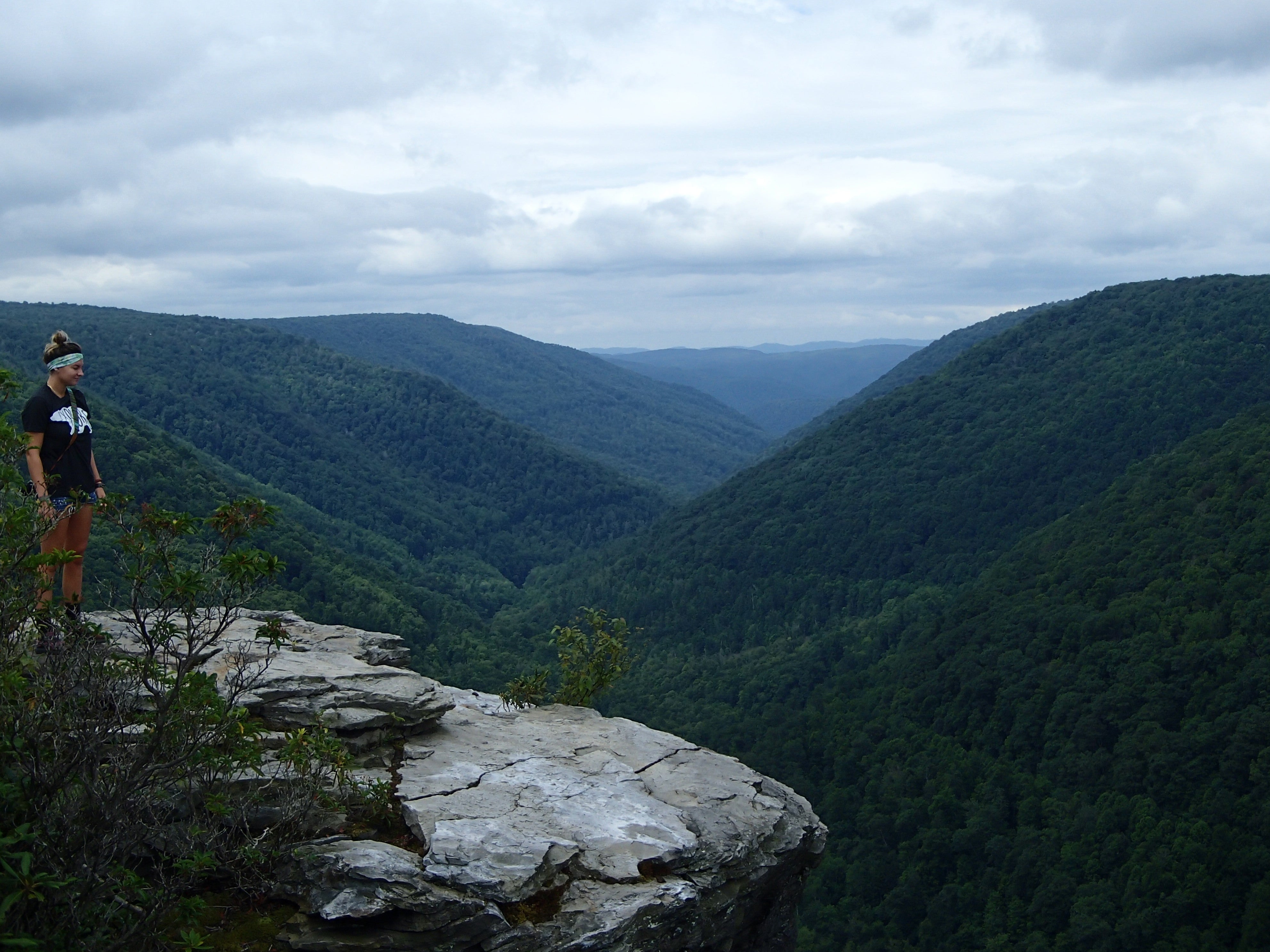 Camper submitted image from Coopers Rock State Forest - 2