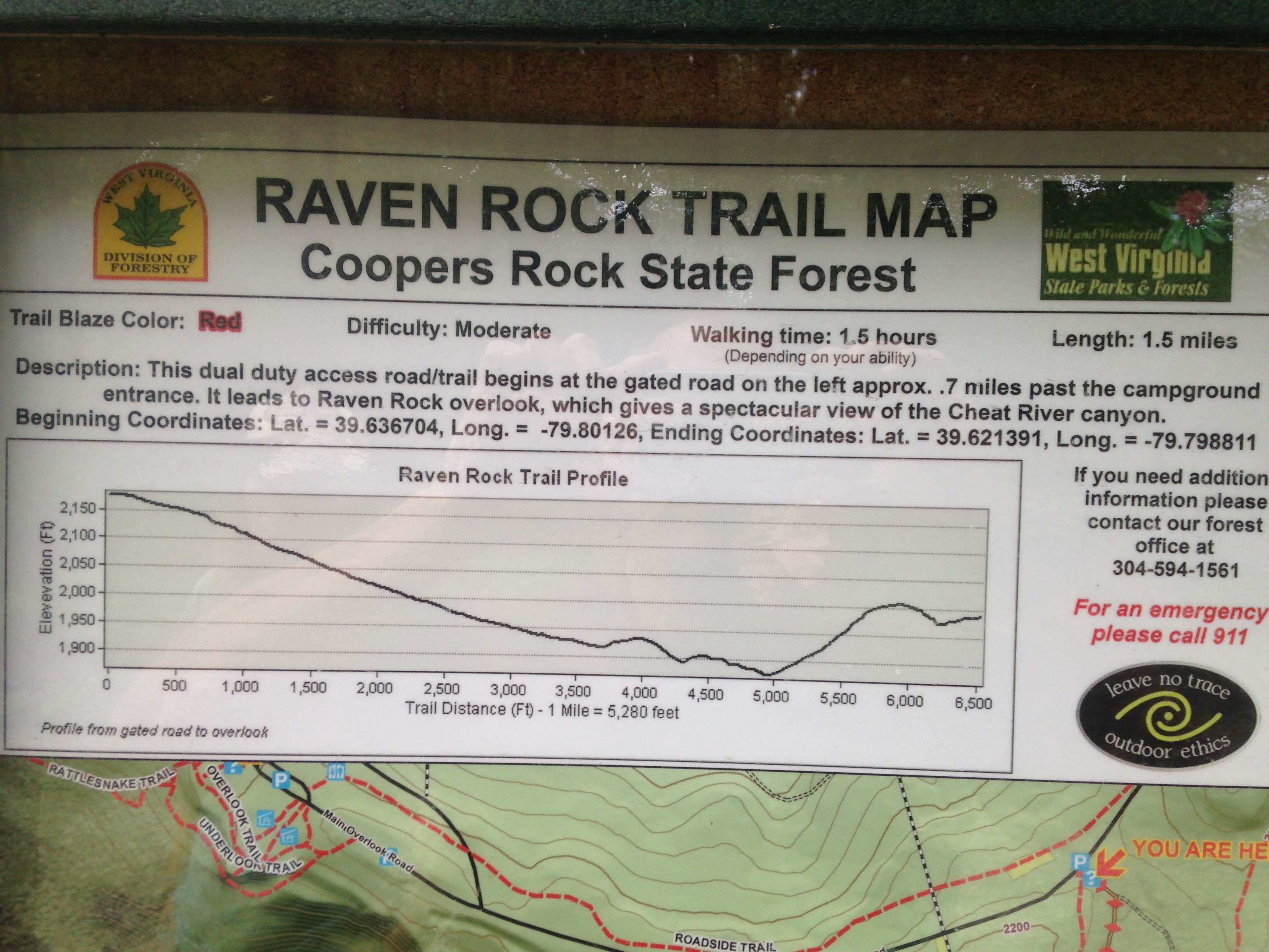 Camper submitted image from Coopers Rock State Forest - 5