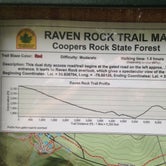 Review photo of Coopers Rock State Forest by Dave V., September 7, 2016