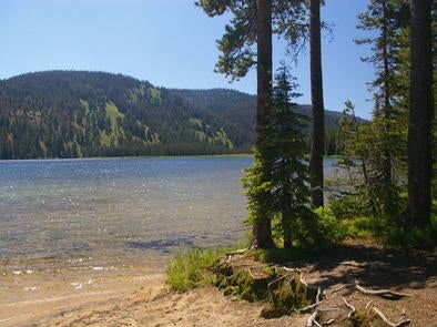 Camper submitted image from Bull Trout Lake Campground - 3