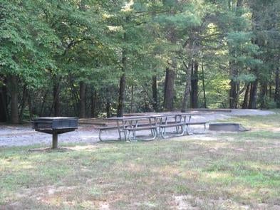 Camper submitted image from Cataloochee Group Campground — Great Smoky Mountains National Park - 3