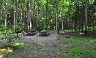 Camping near Mount Collins — Great Smoky Mountains National Park: Elkmont Group Campground — Great Smoky Mountains National Park, Gatlinburg, Tennessee