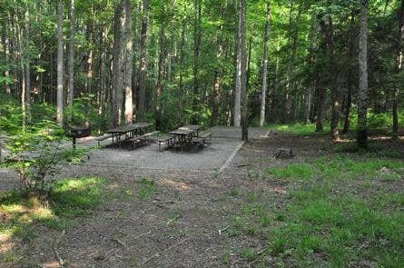 Camper submitted image from Elkmont Group Campground — Great Smoky Mountains National Park - 1