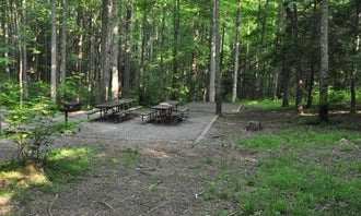 Camping near Gatlinburg Retreat: Elkmont Group Campground — Great Smoky Mountains National Park, Gatlinburg, Tennessee