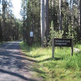 Public Campgrounds: Bridalveil Creek Campground — Yosemite National Park