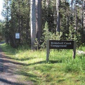 Bridalveil Creek Campground — Yosemite National Park