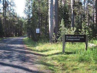 Camper submitted image from Bridalveil Creek Campground — Yosemite National Park - 1