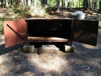 Camper submitted image from Bridalveil Creek Campground — Yosemite National Park - 5