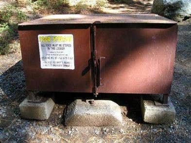 Camper submitted image from Bridalveil Creek Campground — Yosemite National Park - 5