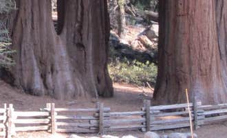 Camping near Sequoia RV Ranch: Dorst Creek Campground — Sequoia National Park, Hartland, California