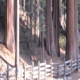 Public Campgrounds: Dorst Creek Campground — Sequoia National Park
