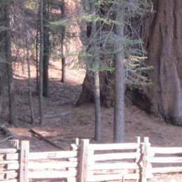 Public Campgrounds: Dorst Creek Campground — Sequoia National Park