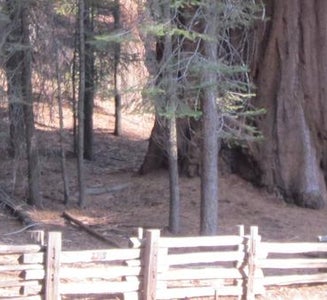 Camper-submitted photo from Dorst Creek Campground — Sequoia National Park