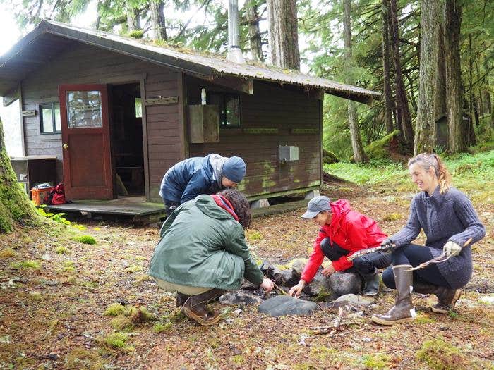 Camper submitted image from Harding River Cabin - 5