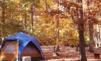 The Dyrt's photo at Greenbelt Park Campground — Greenbelt Park near Huntingtown, MD