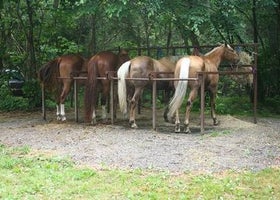 Cataloochee Horse Camp - Great Smoky Mountains National Park