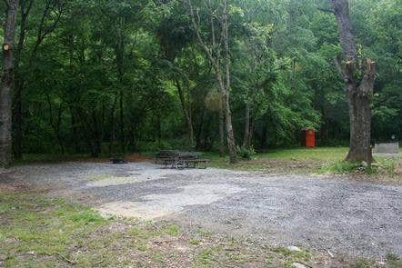 Camper submitted image from Cataloochee Horse Camp — Great Smoky Mountains National Park - 4