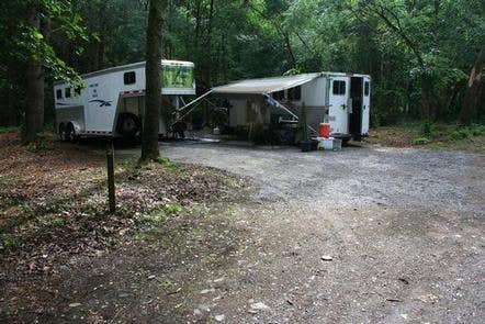 Camper submitted image from Cataloochee Horse Camp — Great Smoky Mountains National Park - 4