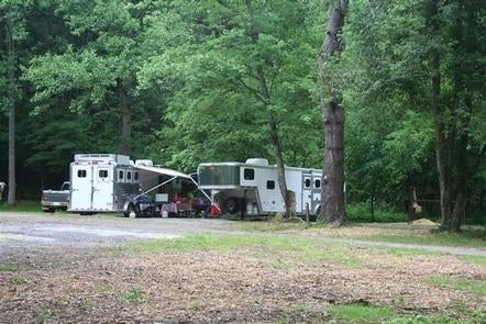 Camper submitted image from Cataloochee Horse Camp — Great Smoky Mountains National Park - 3