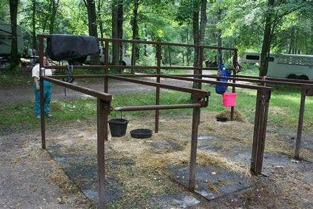 Camper submitted image from Cataloochee Horse Camp — Great Smoky Mountains National Park - 5