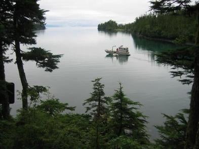 Camper submitted image from Paulson Bay Cabin - 5