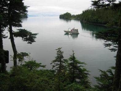 Camper submitted image from Paulson Bay Cabin - 4